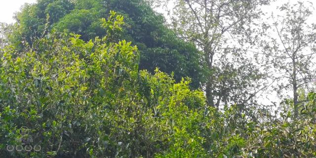 待疫情過去,我第一個想見你