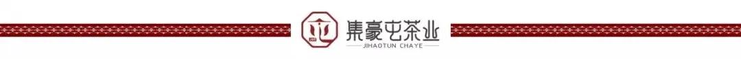 說說普洱茶鮮葉采摘的“潛規(guī)則”