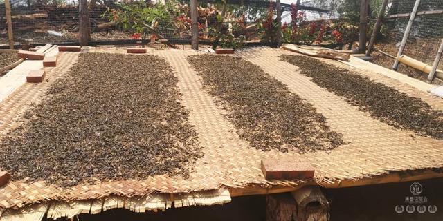 春來發幾枝,愿君多采擷