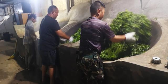 春來發幾枝,愿君多采擷