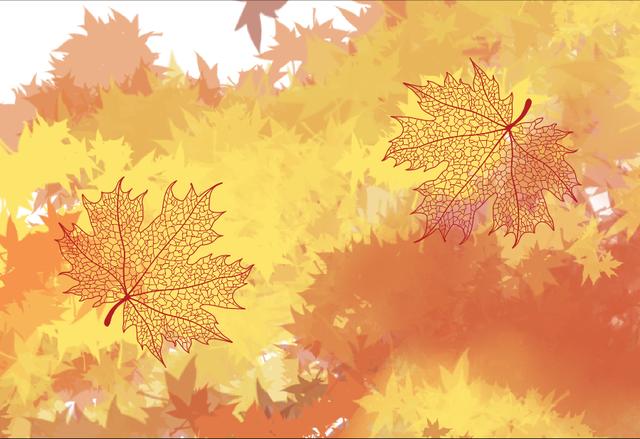 待到寒風吹過時，又是新景象